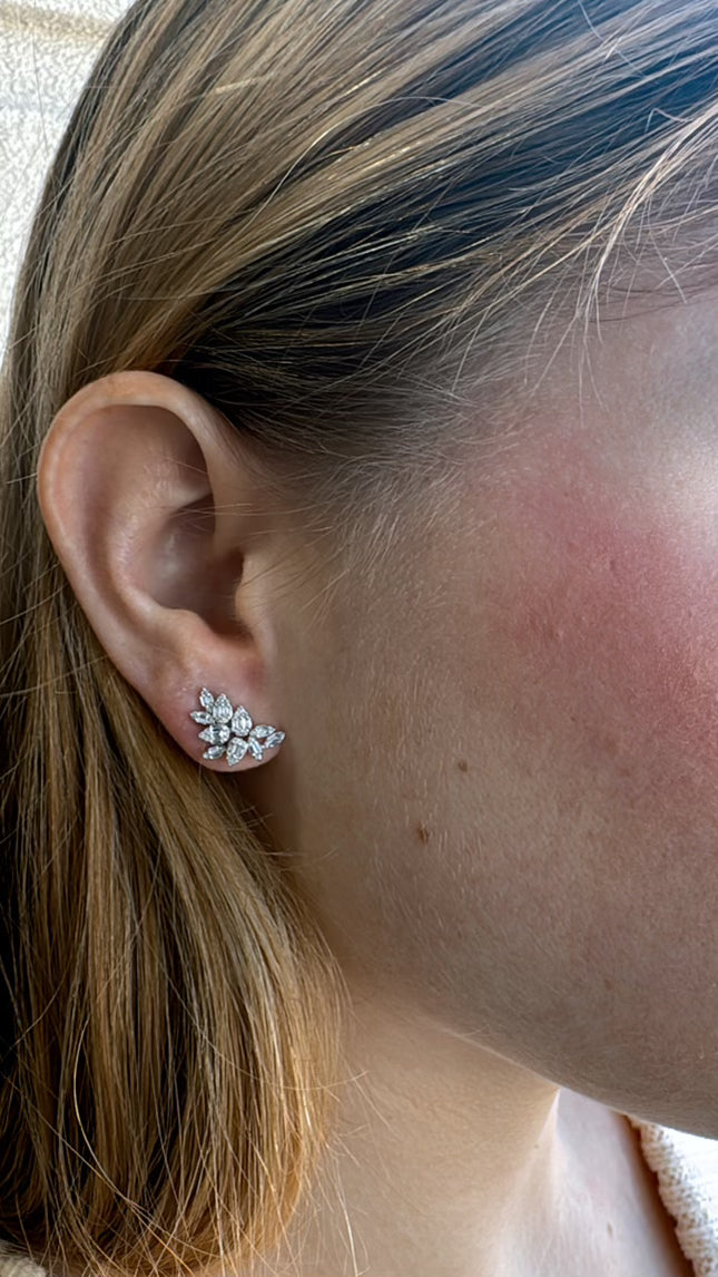 Small cluster earrings 2025