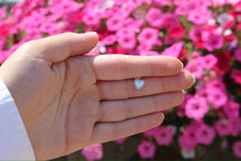 Load image into Gallery viewer, 14K Yellow Gold Small Mother of Pearl Heart Charm
