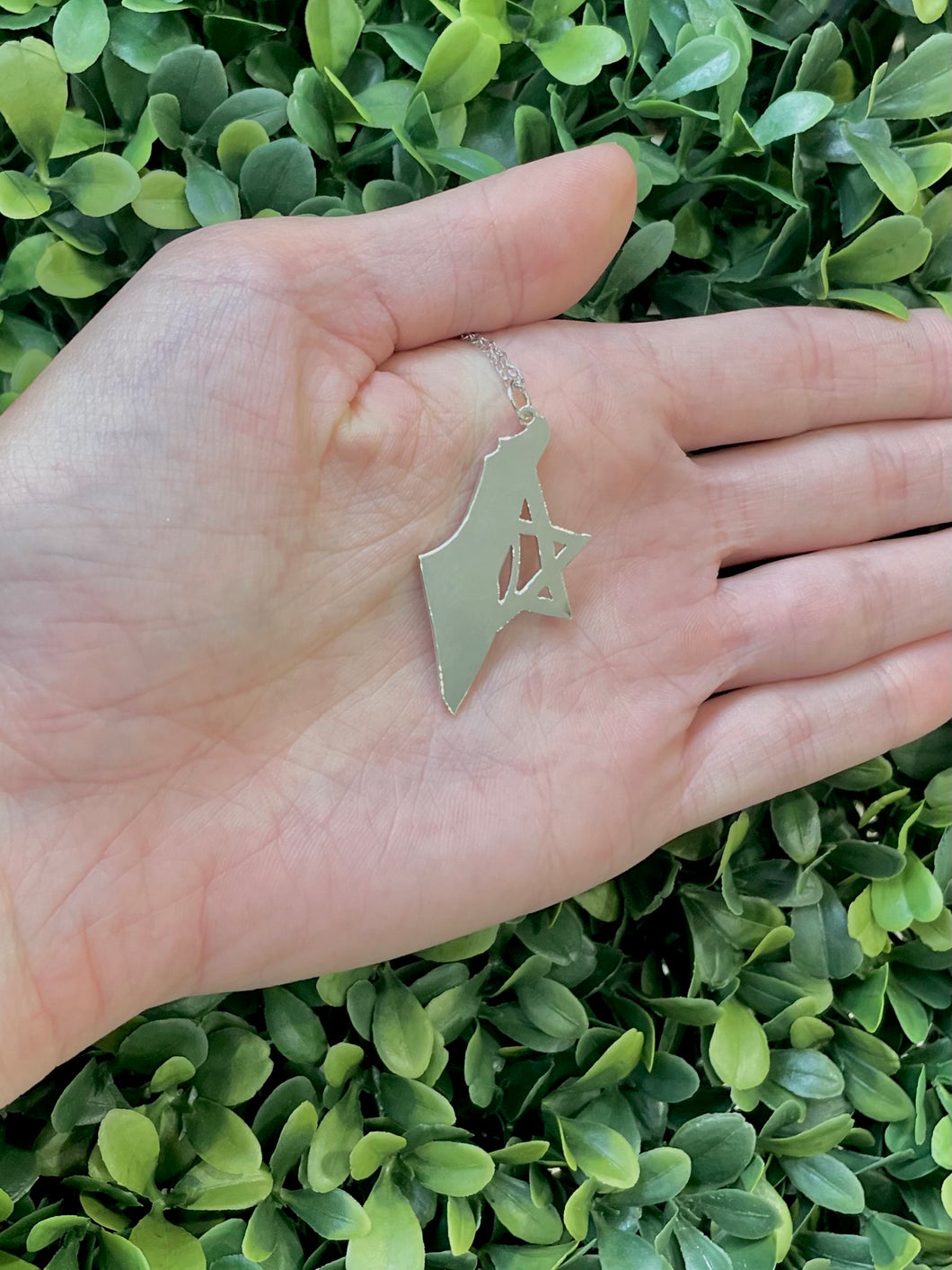 Map of Israel/ Star of David Necklace